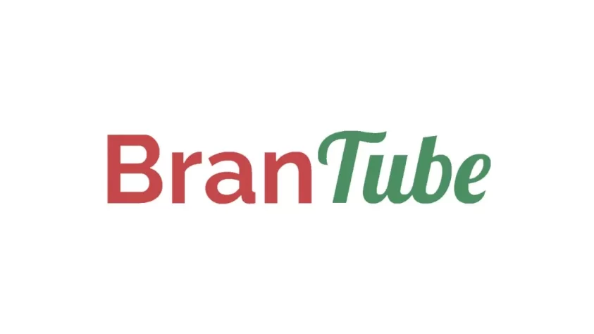 mejores plataformas marketing influencers ganar dinero redes sociales blog brantube