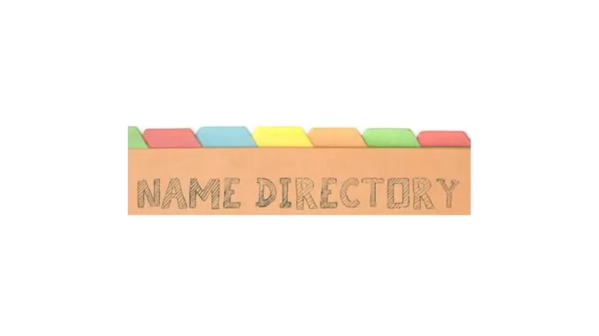 mejores plugins directorios wordpress gratis pago name directory