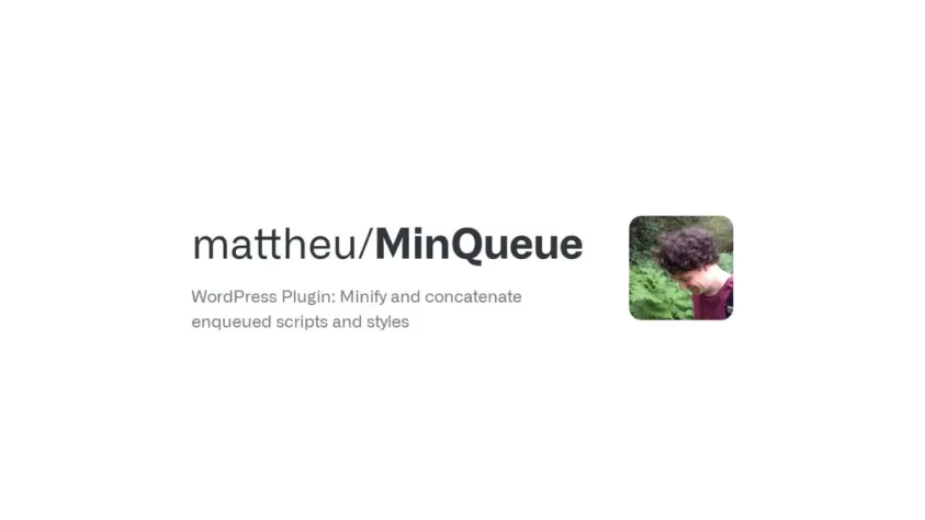 mejores plugins seo wordpress posicionamiento web rendimiento minqueue