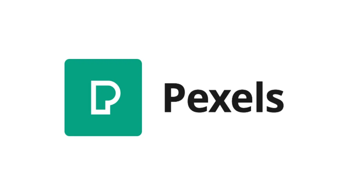 mejores bancos videos pexels