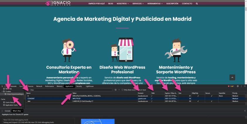 como saber que cookies utiliza mi web google chrome